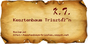 Kesztenbaum Trisztán névjegykártya